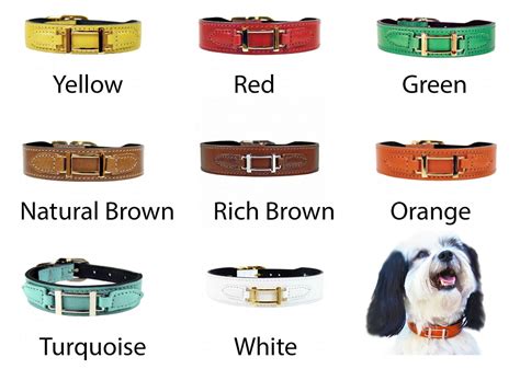 replica hermes dog collar and leash|Hermes birkin dog collar.